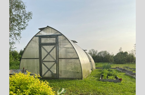Фирсова Юлия Геннадьевна, Санкт- Петербург