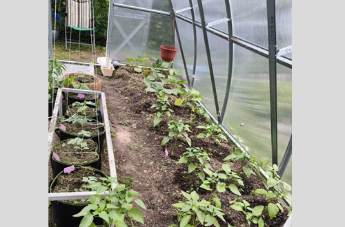 Любовь Юрьевна Б 3