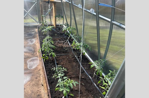 Евгений Портнов Уфа 1