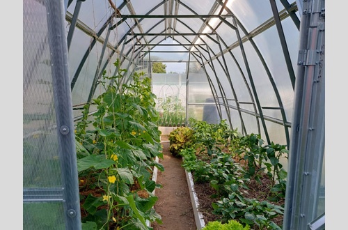 Наталья Коломна 1