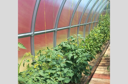 Людмила Гамма 3