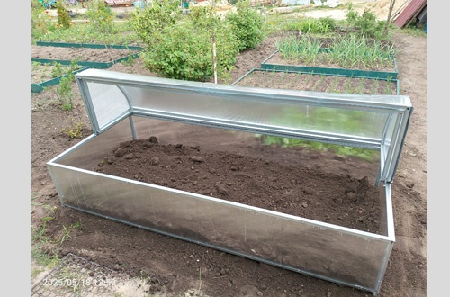 Анатолий Лотос 2