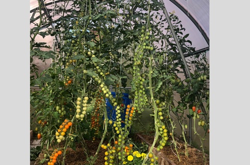 Анастасия, Тучково 1