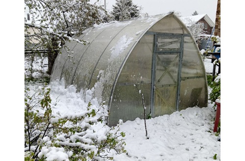 Ирина Литвак 3