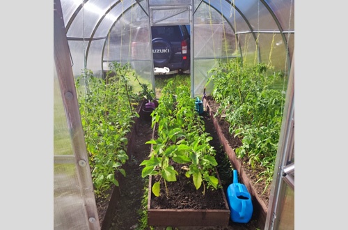 Рязанцева Юлия 2