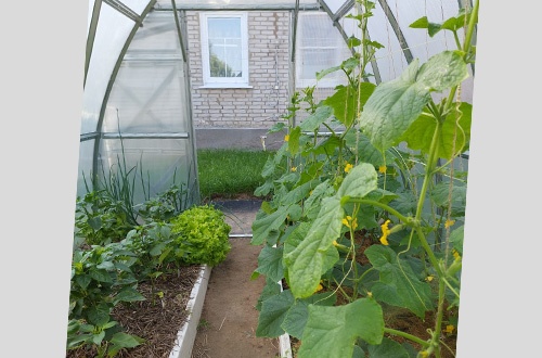 Наталья Коломна 2