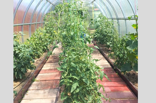 Людмила, Гамма 1