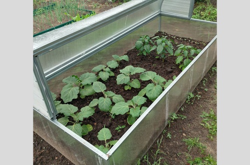 Анатолий Лотос 3