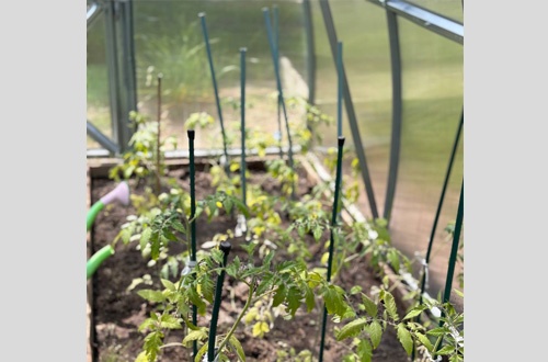 Людмила Макарова Чебоксары