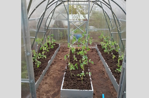 Наталия Москва 1