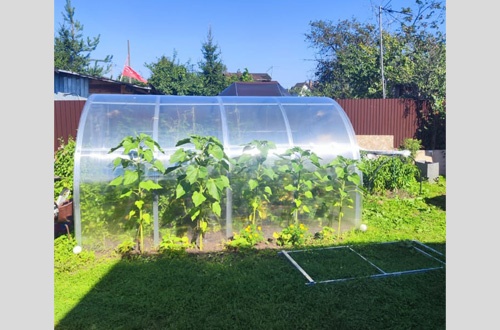 Рязанцева Юлия 1